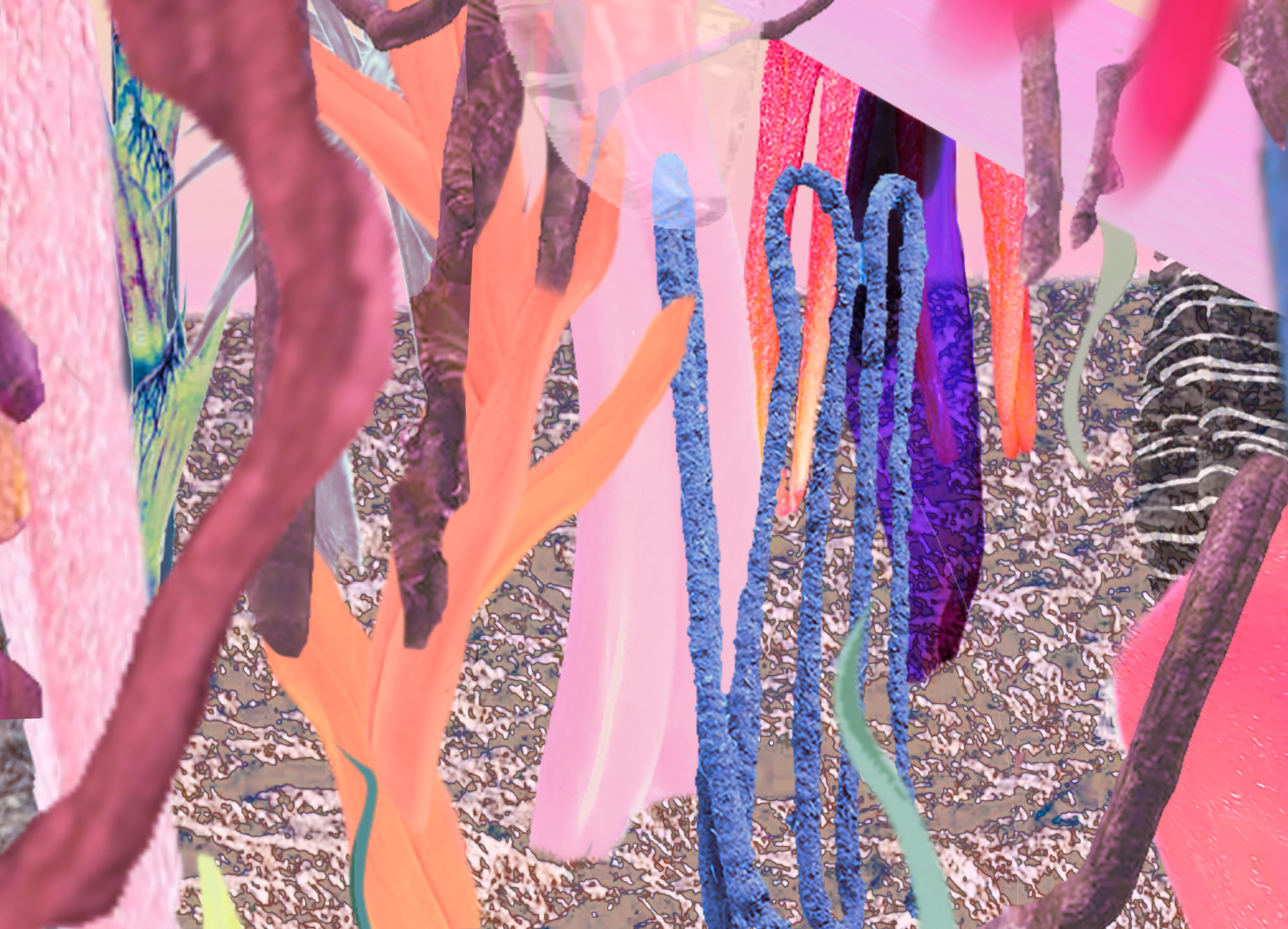 The picture FOREST OF TONGUES (Etana and Naomi, 2021) is a digital collage of found footage. You can see tongues in different colours, shapes and structures, which together form a forest of tongues.